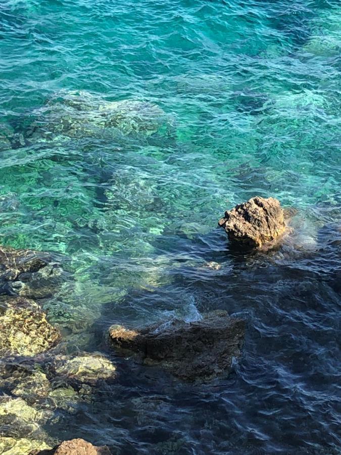 Affittasi Casa Vacanza A Casa Di Emma Leverano Eksteriør bilde